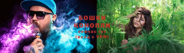 стафф Лабытнанги