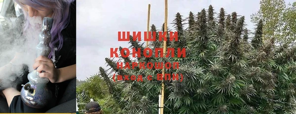 стафф Лабытнанги