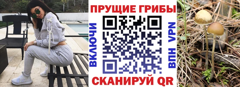 Псилоцибиновые грибы ЛСД Мелеуз